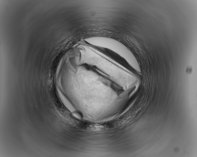 X0000099450607200806061108