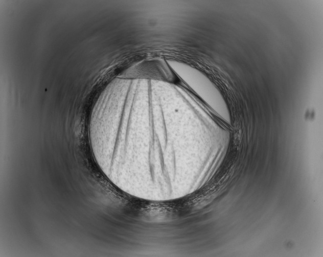 X0000099450608200806061108