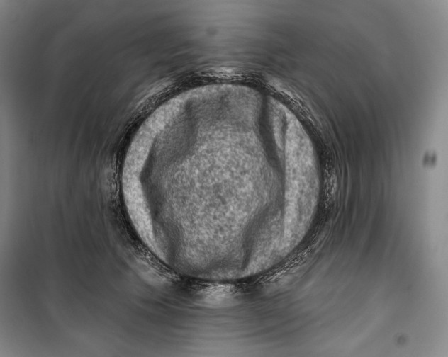 X0000099450609200806061108