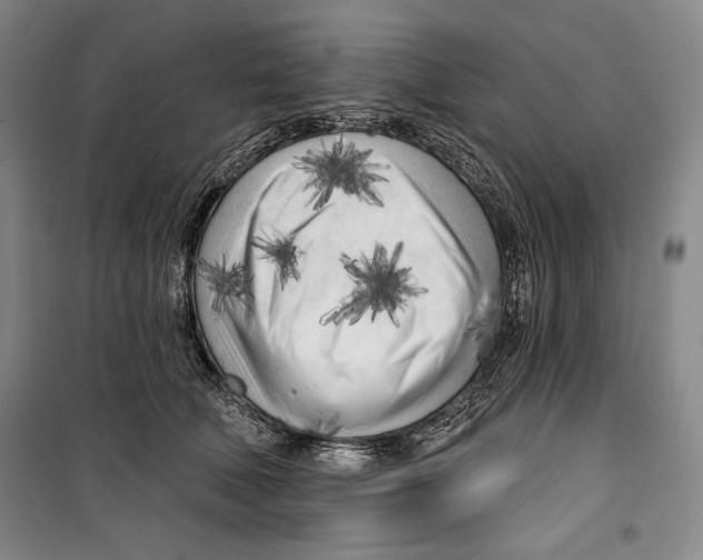 X0000099450610200806061108