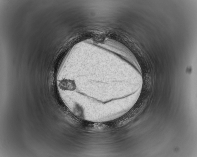 X0000099450612200806061107