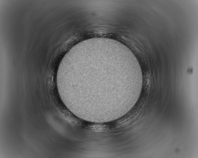 X0000099450615200806061107