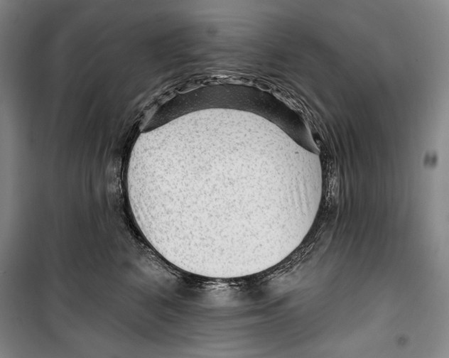 X0000099450616200806061107