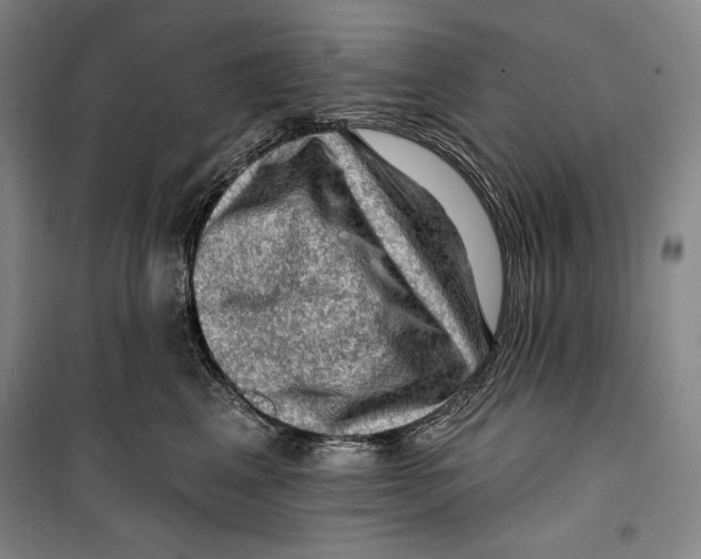 X0000099450617200806061107