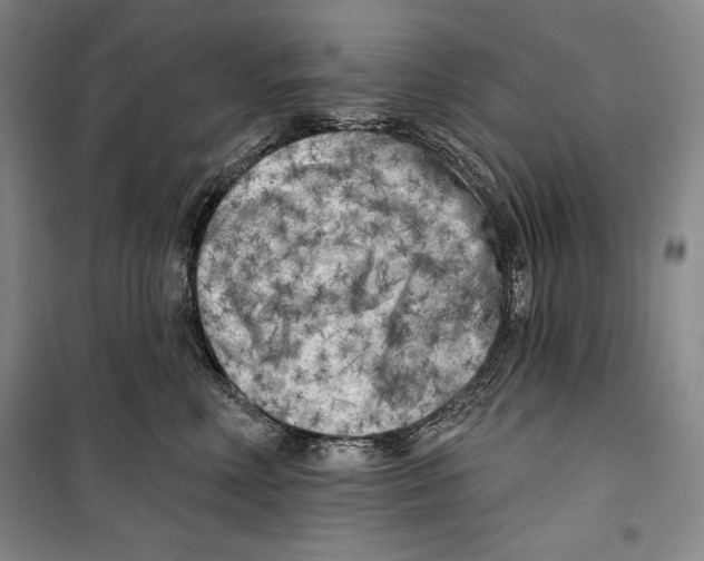 X0000099450618200806061107