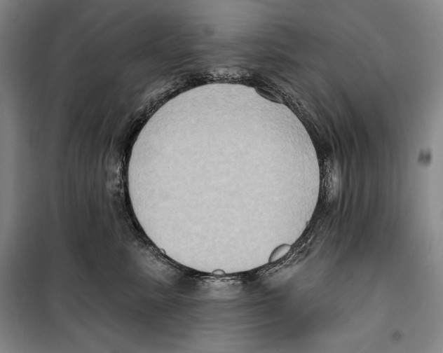 X0000099450619200806061107