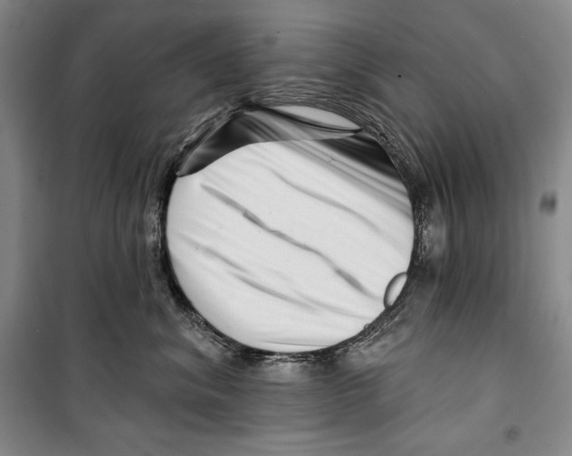 X0000099450620200806061107