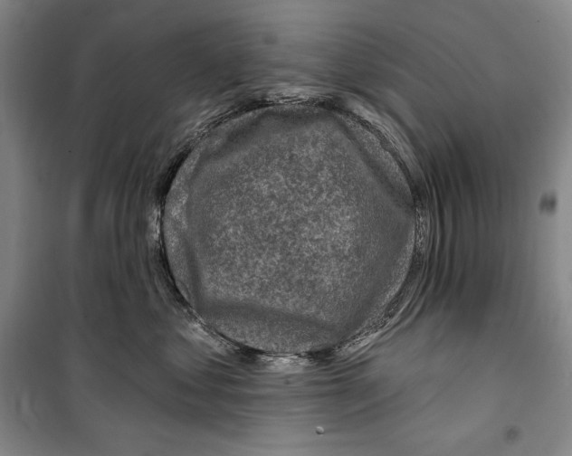 X0000099450621200806061107