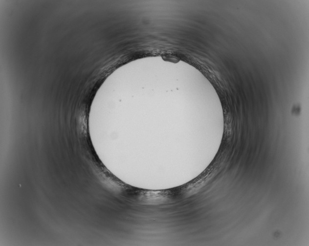 X0000099450622200806061107