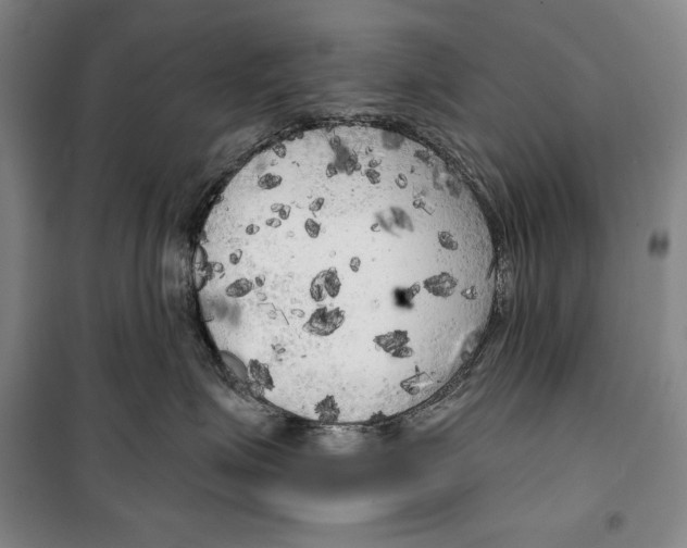 X0000099450623200806061107