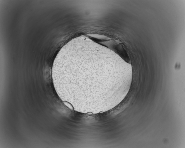 X0000099450624200806061107