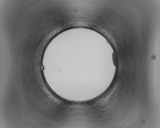 X0000099450625200806061107