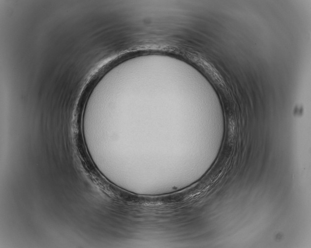 X0000099450628200806061107