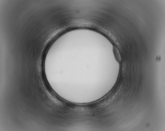 X0000099450629200806061107