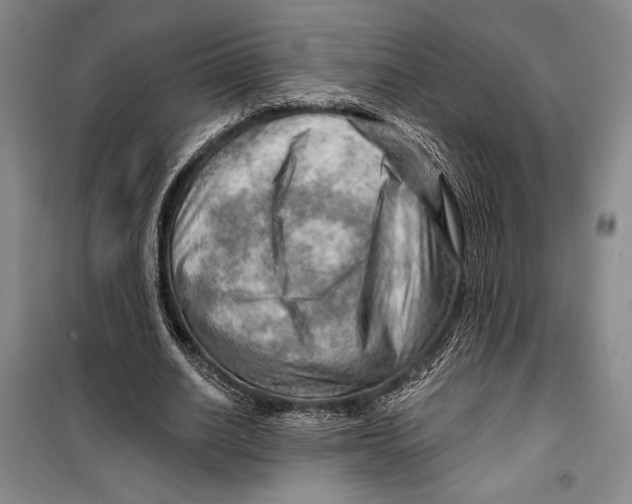 X0000099450630200806061107