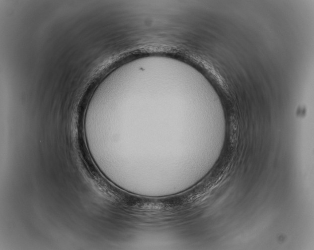 X0000099450631200806061107