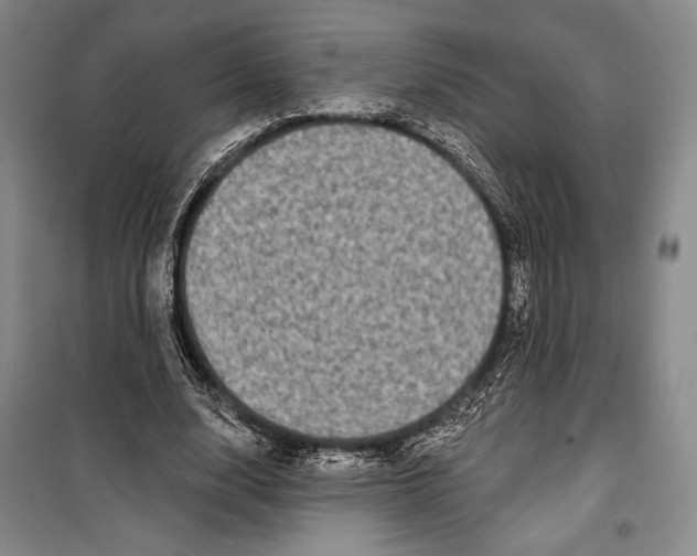 X0000099450632200806061107