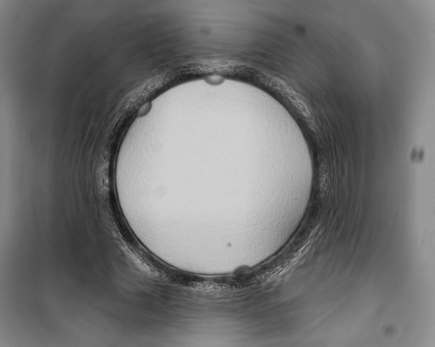 X0000099450633200806061107