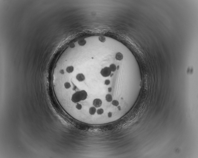 X0000099450634200806061107