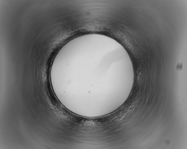 X0000099450635200806061107