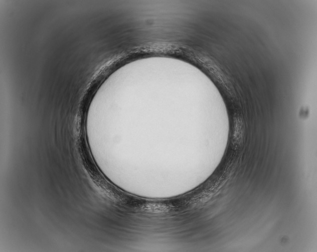 X0000099450636200806061107