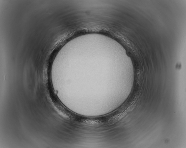 X0000099450638200806061107