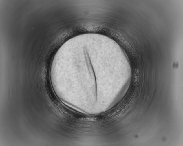 X0000099450639200806061107