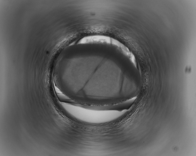 X0000099450640200806061107