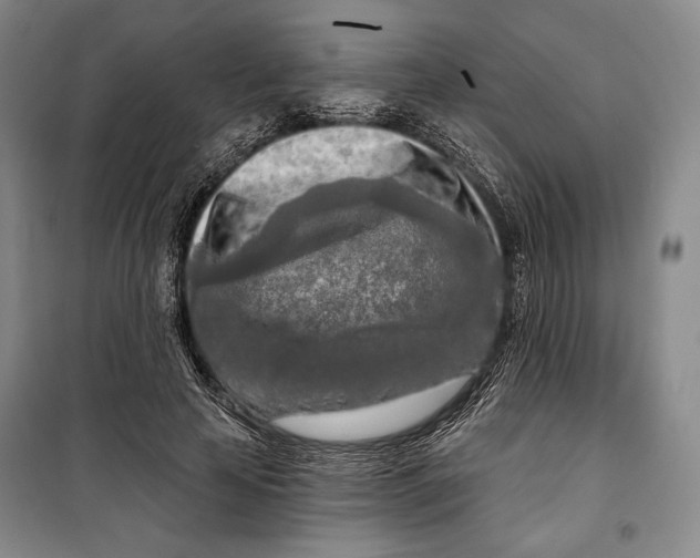 X0000099450641200806061107