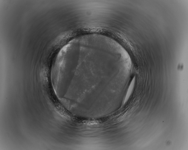 X0000099450643200806061107