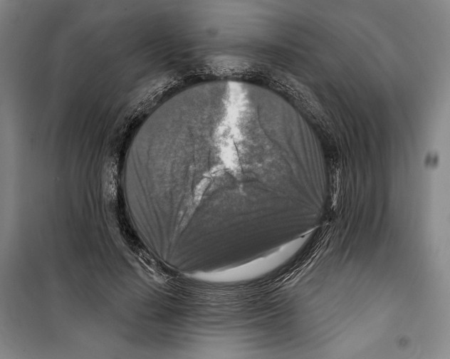 X0000099450644200806061107