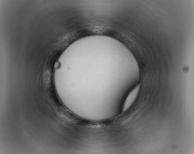 X0000099450646200806061107