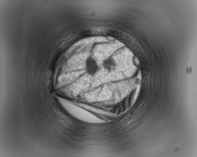 X0000099450649200806061107