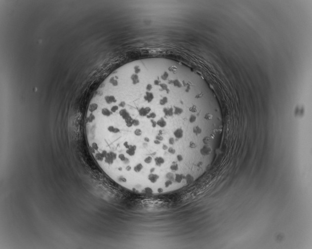 X0000099450650200806061107