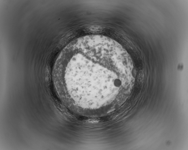 X0000099450651200806061107