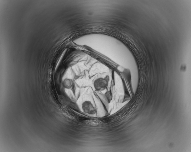 X0000099450652200806061107