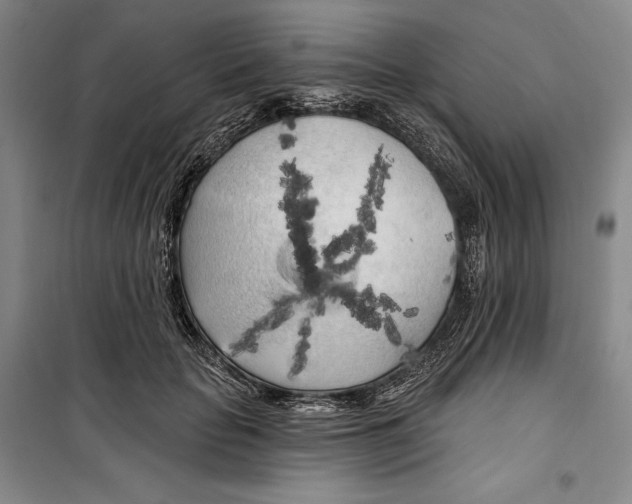 X0000099450653200806061107