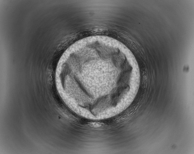 X0000099450654200806061107