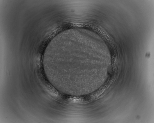 X0000099450655200806061107