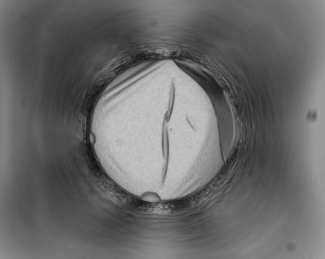 X0000099450656200806061107