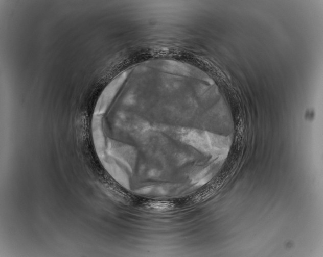 X0000099450659200806061107