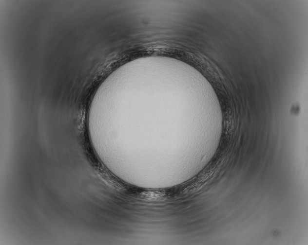 X0000099450660200806061107