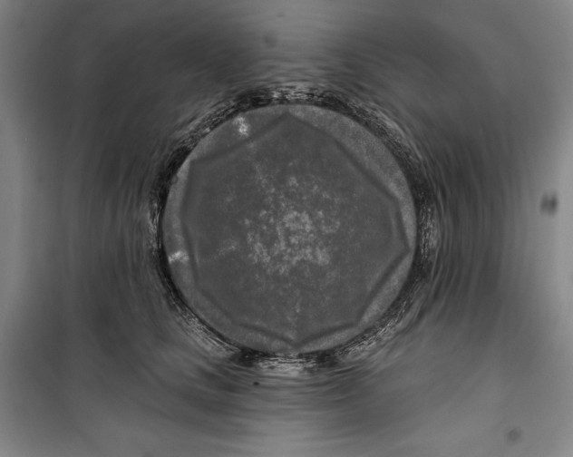 X0000099450661200806061107