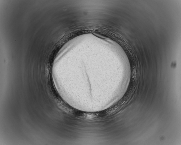 X0000099450662200806061107