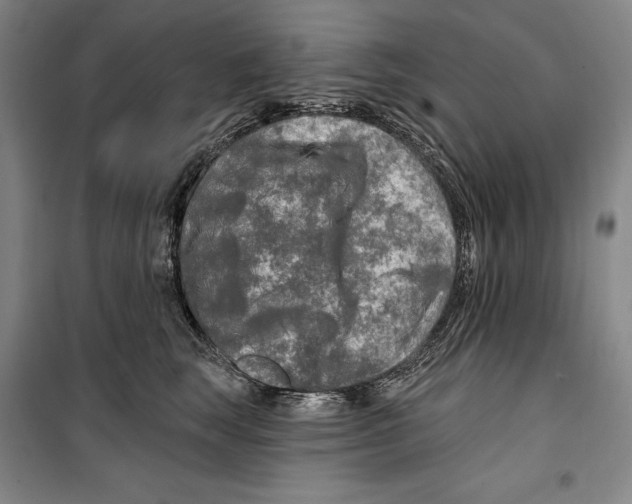 X0000099450663200806061107