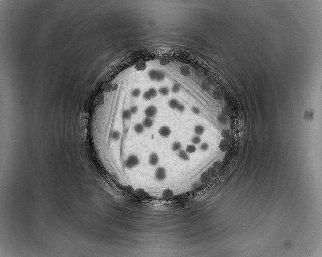 X0000099450664200806061107