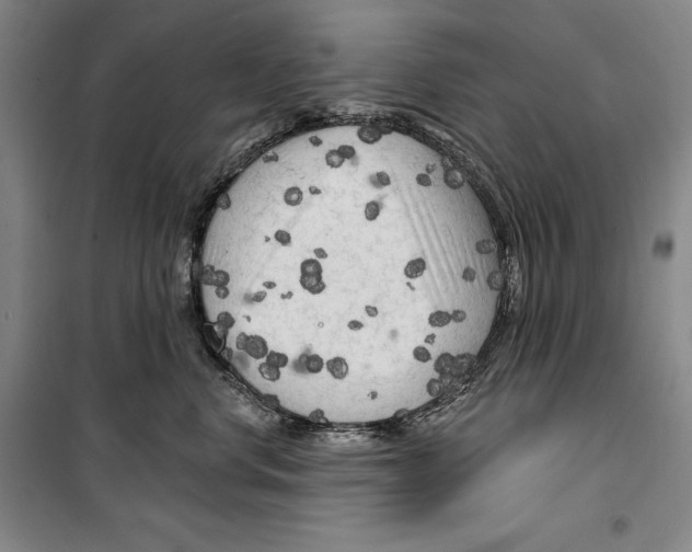 X0000099450668200806061107