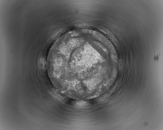 X0000099450669200806061107