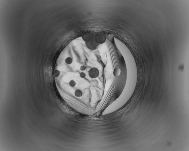 X0000099450670200806061107