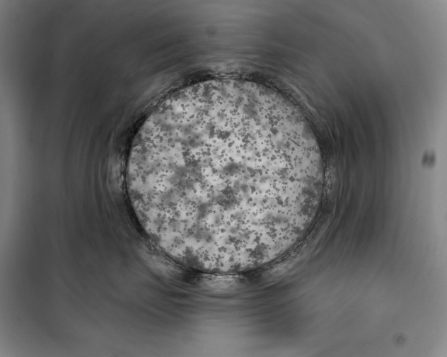 X0000099450671200806061107